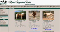 Desktop Screenshot of huntereqcenter.com